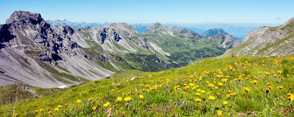 Ausblick auf der Schwarzen Furka